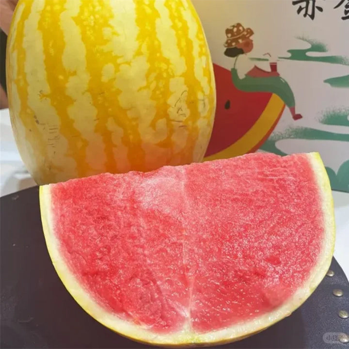 Golden Red Watermelon Seeds