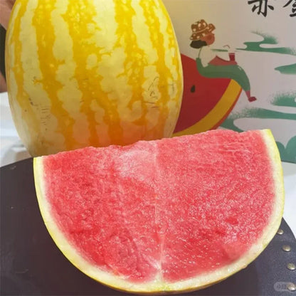 Golden Red Watermelon Seeds