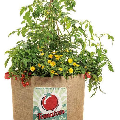 Tempting Tomatoes - Goodhearted