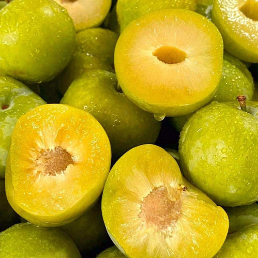 Yellow Plum Seeds Sugar Plum