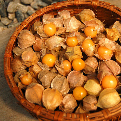 Physalis Peruviana Golden Berry Seeds Lantern Fruit Seeds