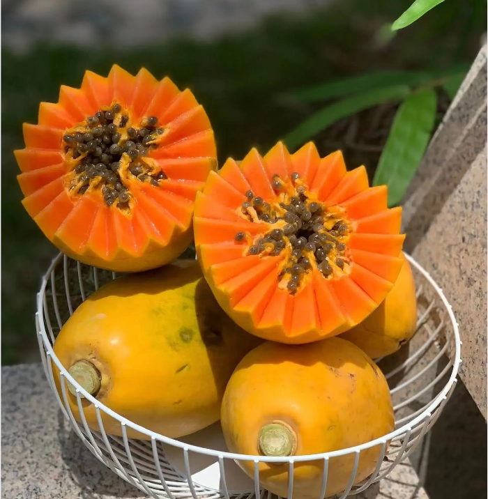 Organic Papaya Tree Seeds Heirloom Edible
