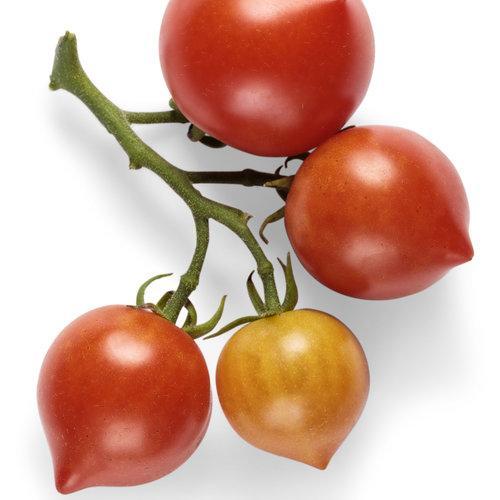 Tempting Tomatoes - Goodhearted