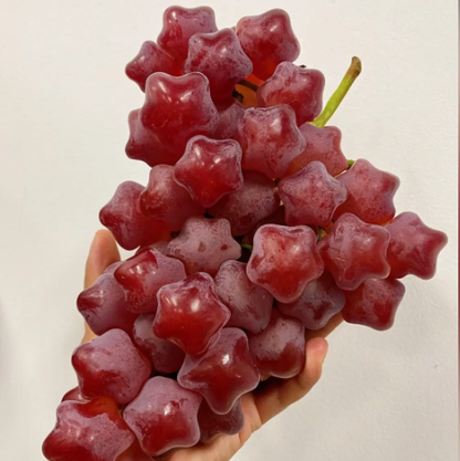 Winter Star Grape Seeds