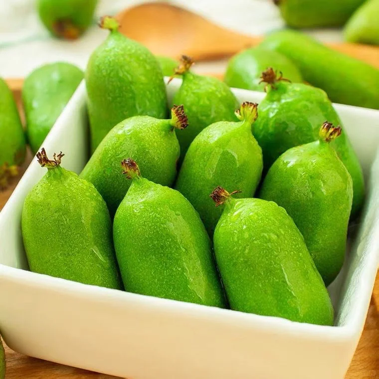 Soft Date Kiwi Seeds