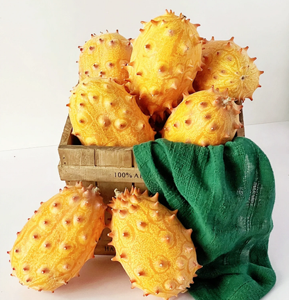 Fire Ginseng Fruit Seeds