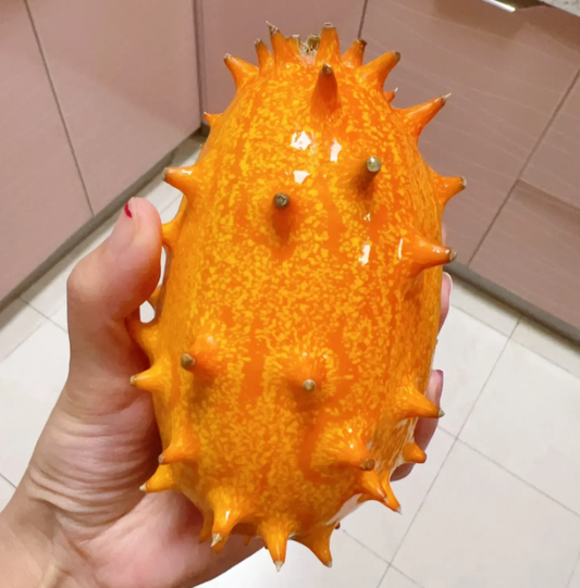 Fire Ginseng Fruit Seeds