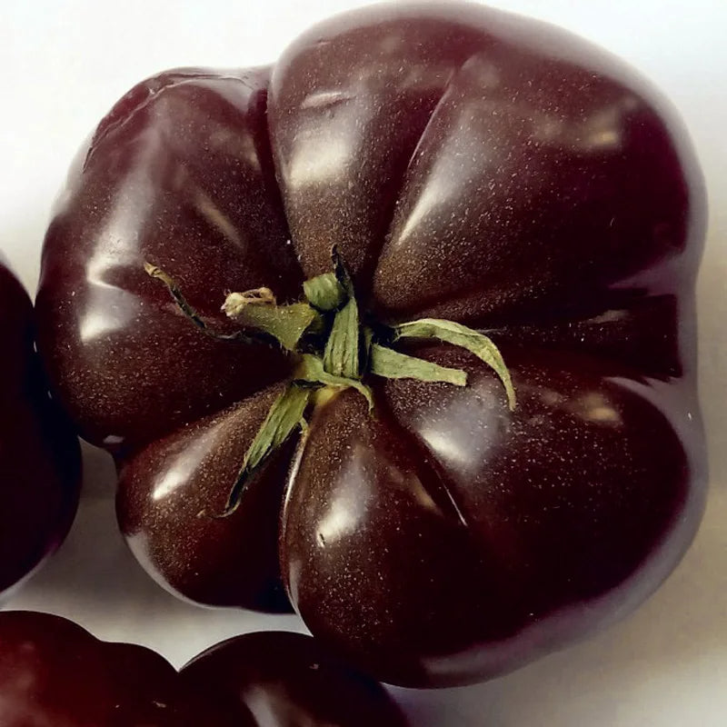 Multicolor Tomato Seeds-No Gmo