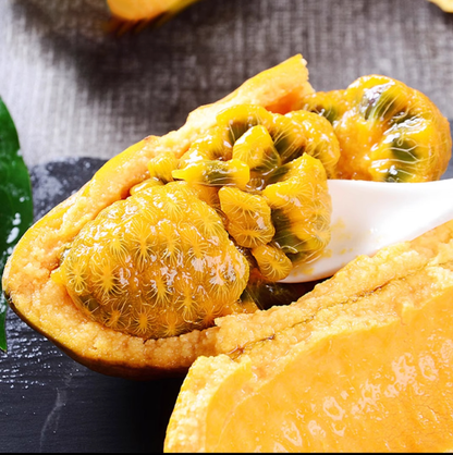 Stauntonia Leucantha Seeds