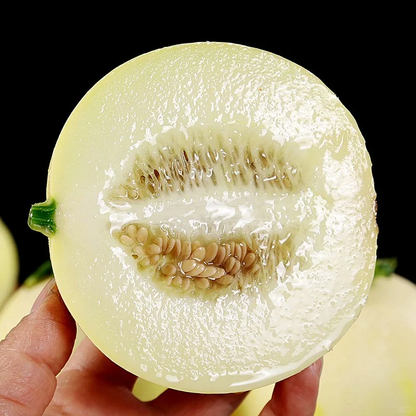Lazy Melon Seeds