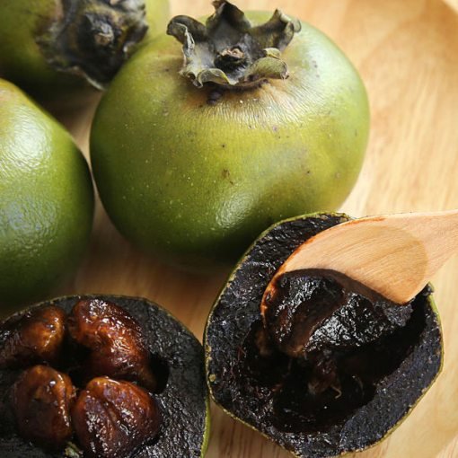 Black Sapote Seeds
