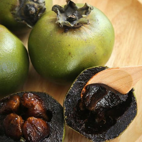 Black Sapote Seeds