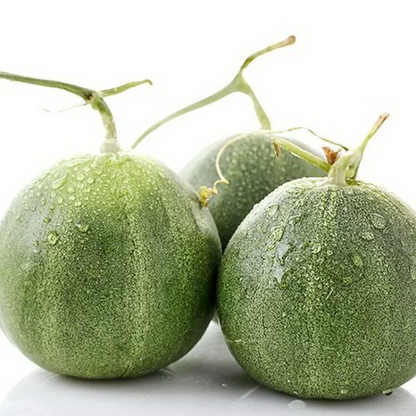 Emerald Melon Seeds
