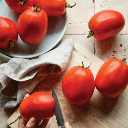 Giant Cherry Tomatoes