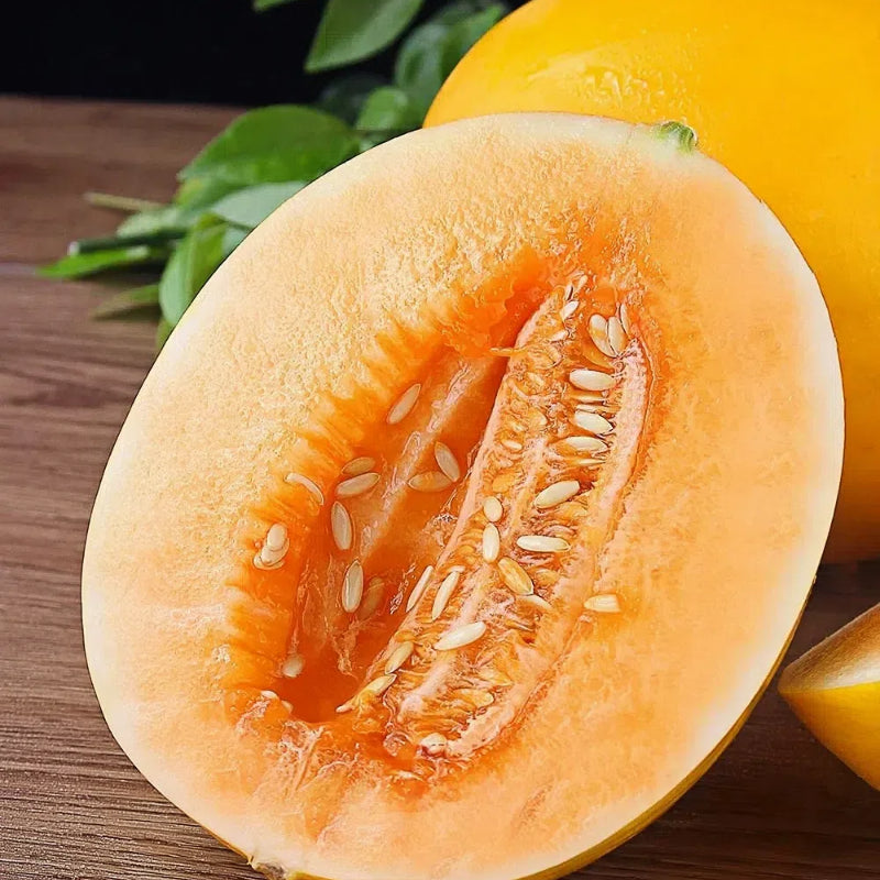 🍈Yellow River Honey Melon