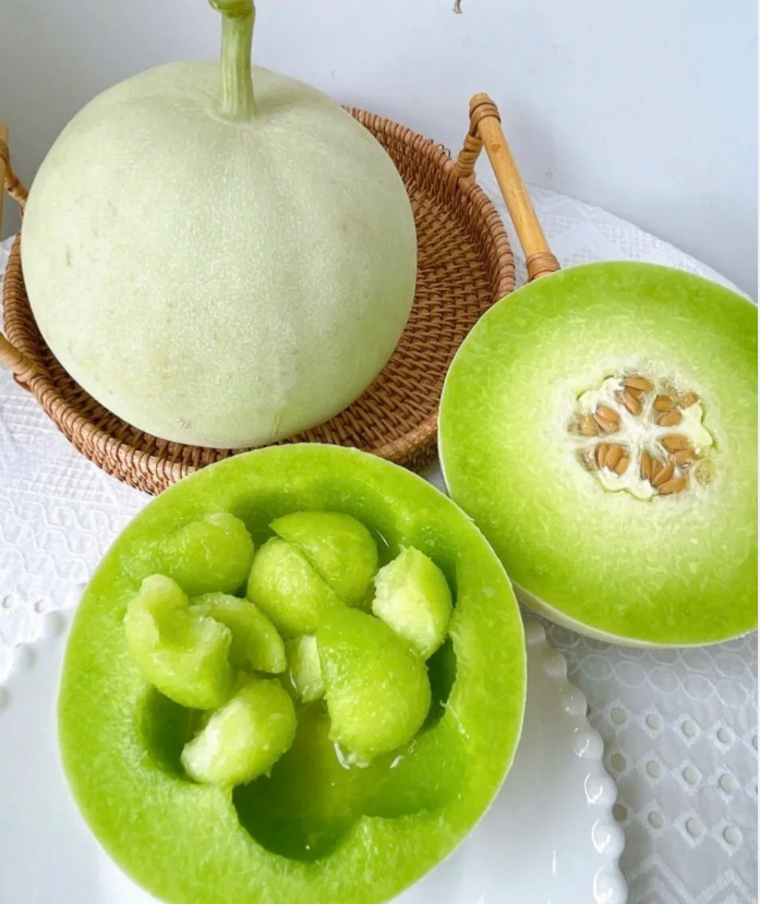 Jade Mushroom🍄Melon Seeds🍈