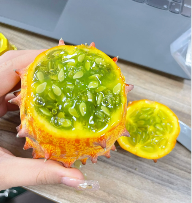 Fire Ginseng Fruit Seeds