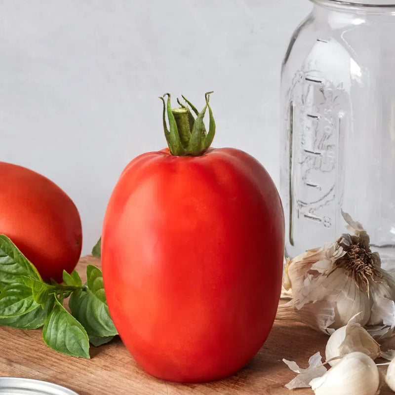 Giant Cherry Tomatoes