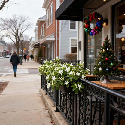 🏆 75K+ SOLD🌿❄️ Midnight Perfume Jasmine Seeds – Winter Planting, Perennial Blooms & Fragrant Garden Elegance 🌸